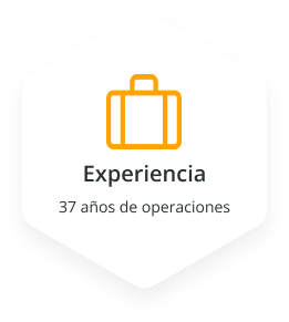 experiencia